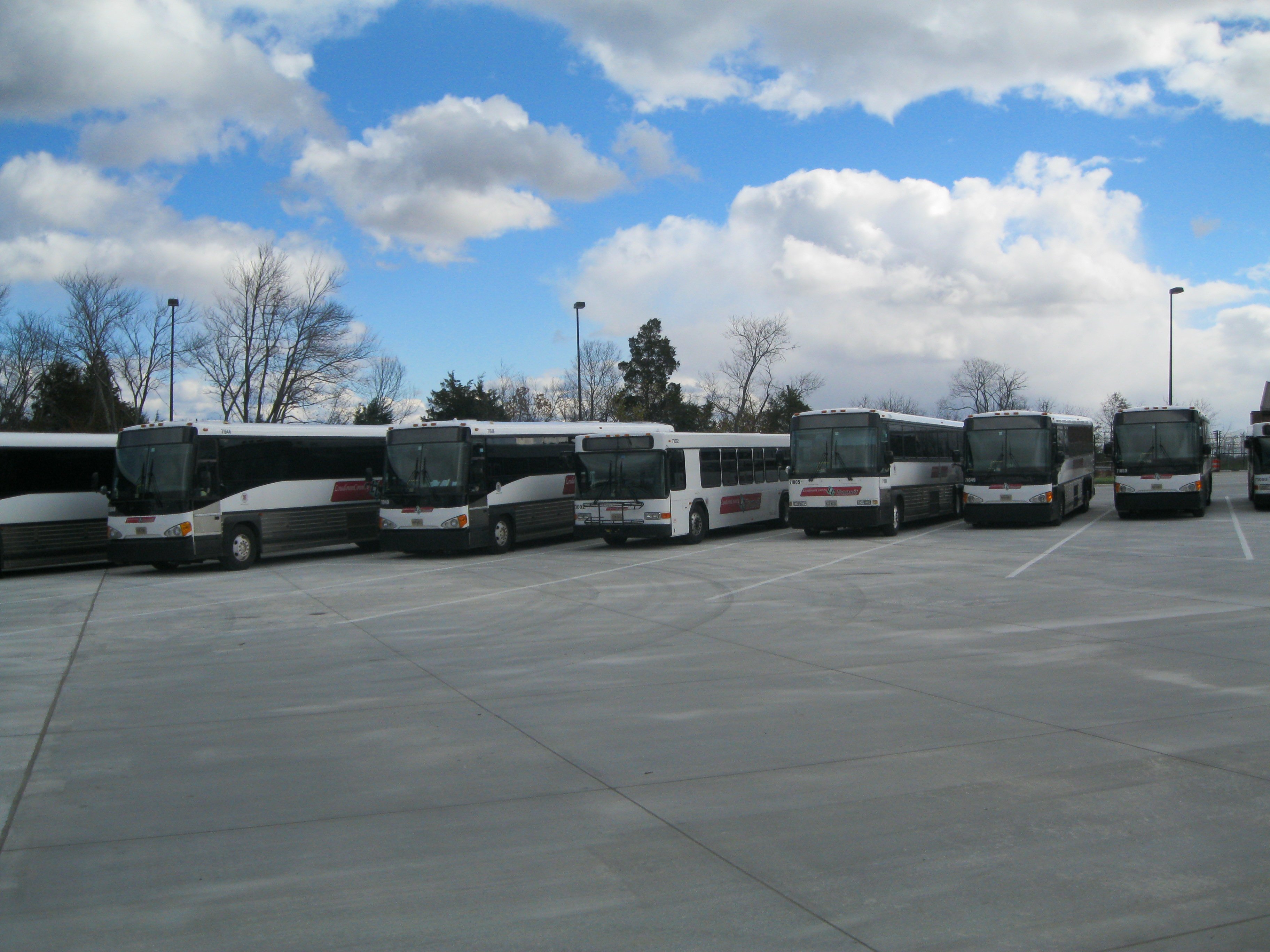 Buses parked at TMOF