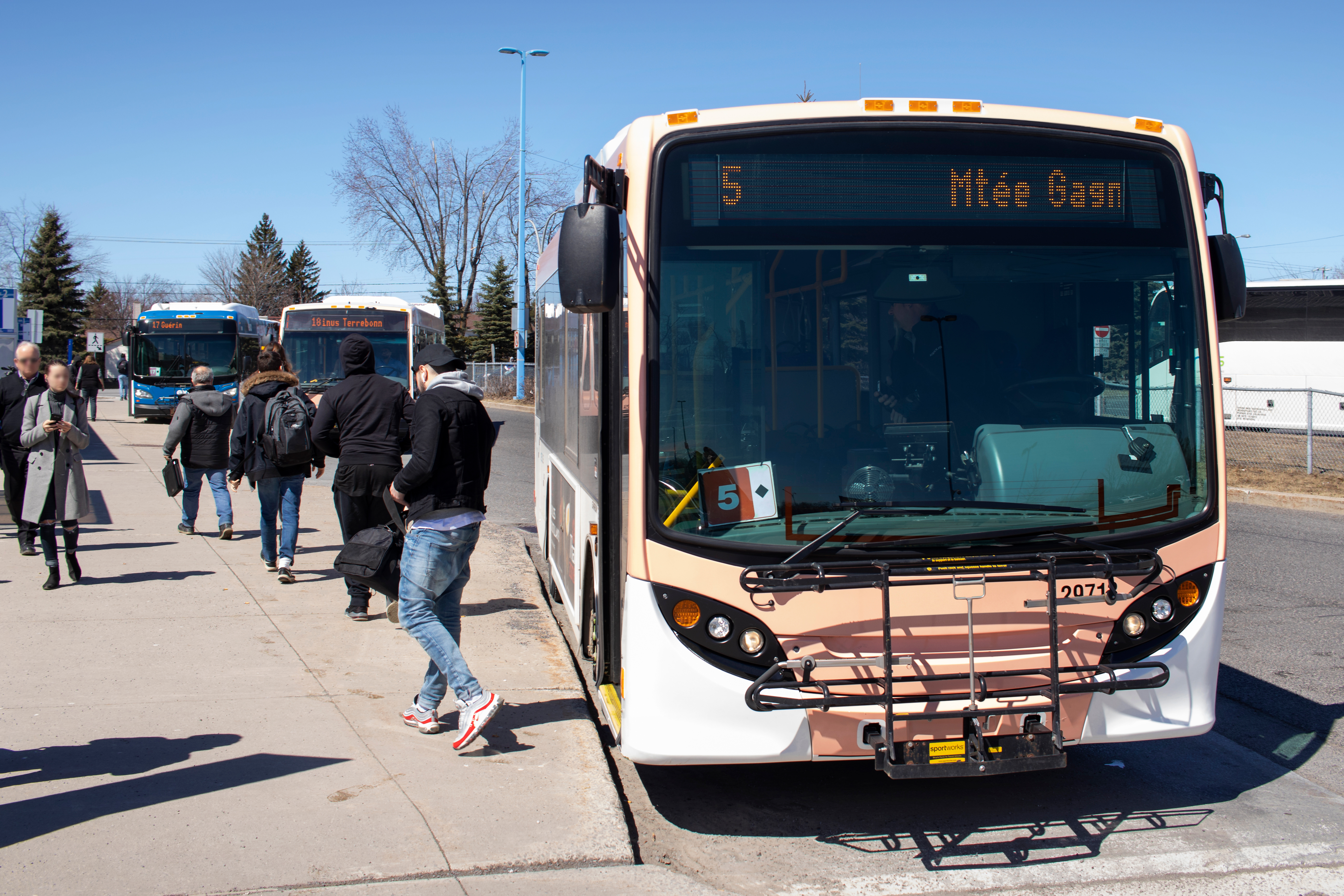 urban bus